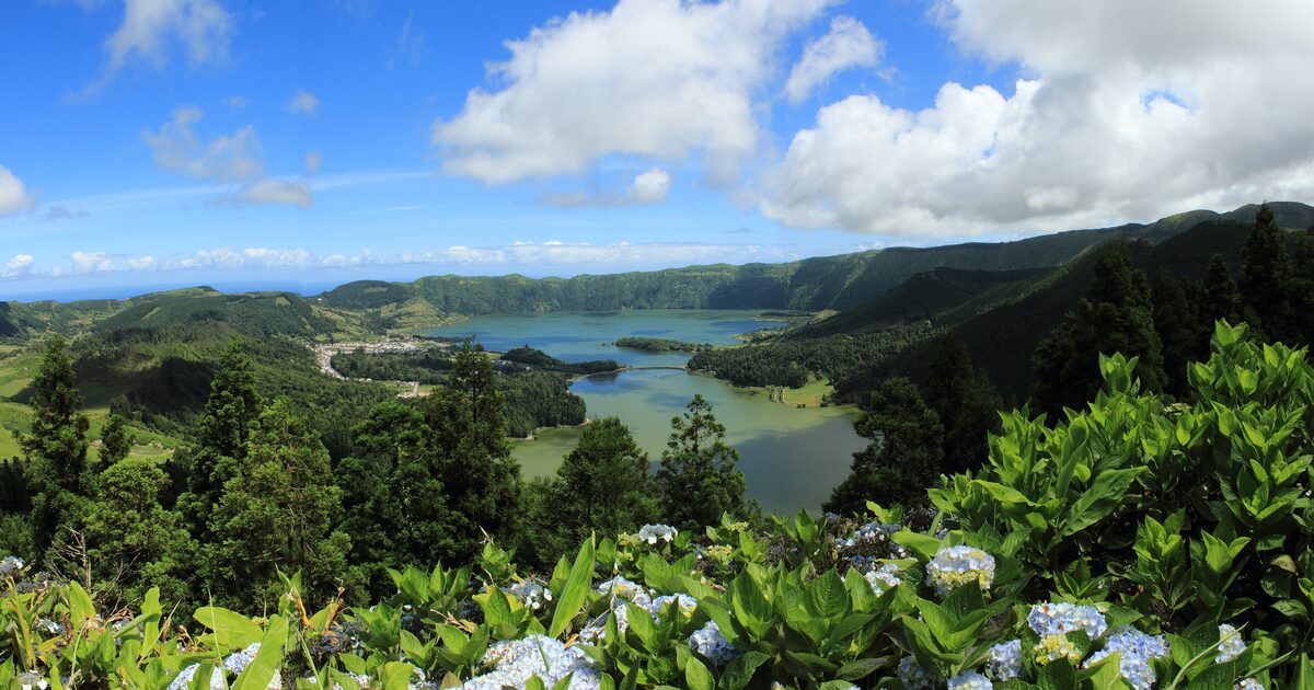 The twin crater lakes of Sete Cidades on a clear day, seen from the rim, with the village on the shore and blue hydrangeas in the foreground