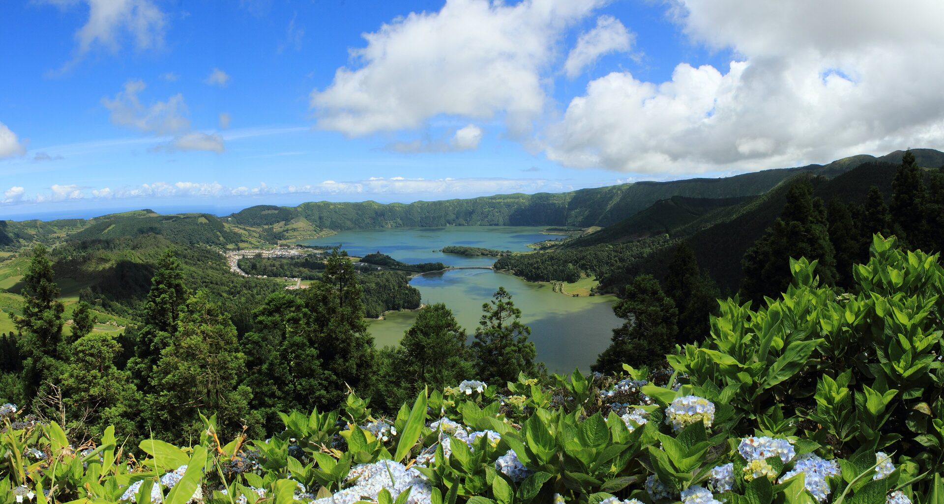 The twin crater lakes of Sete Cidades on a clear day, seen from the rim, with the village on the shore and blue hydrangeas in the foreground