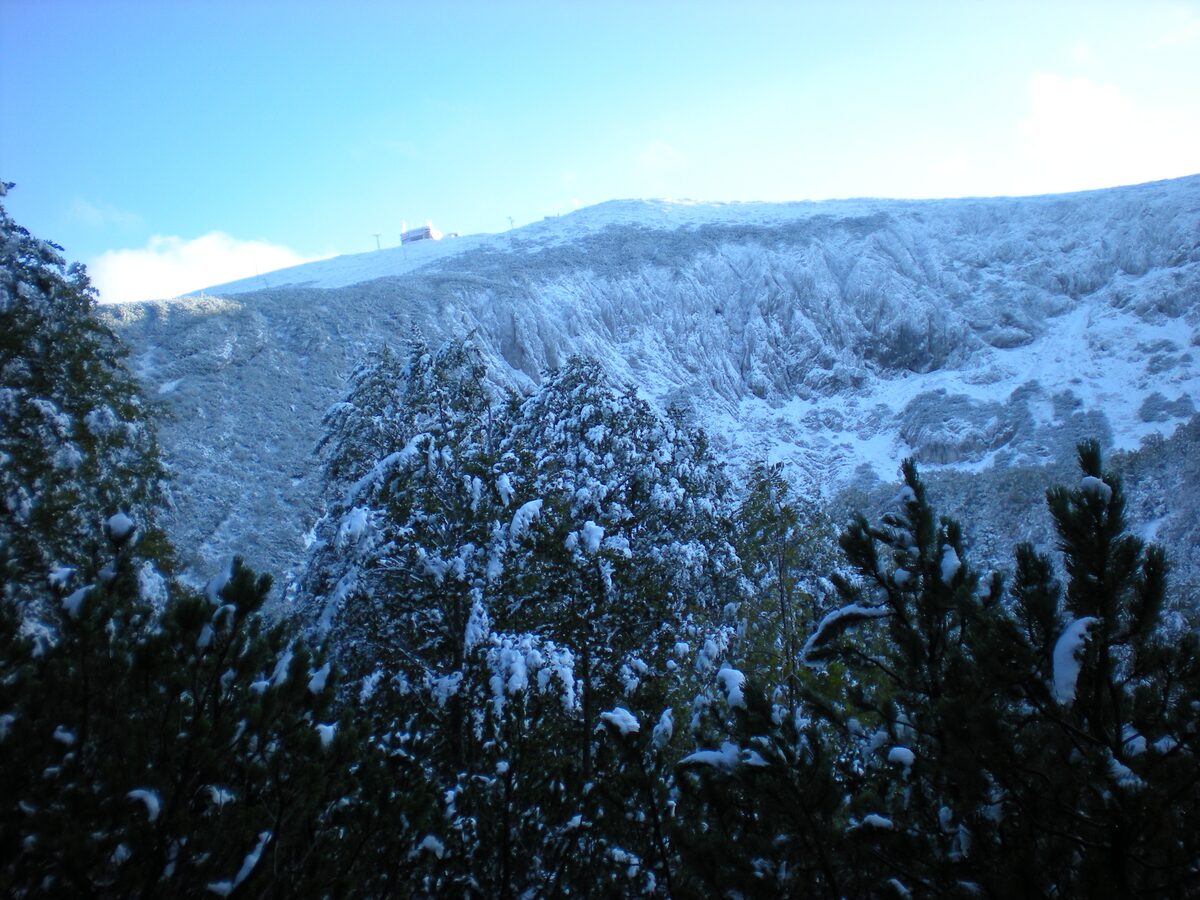The snow-dusted summit ridge of Bjelašnica seen over pines, with a small building on the skyline