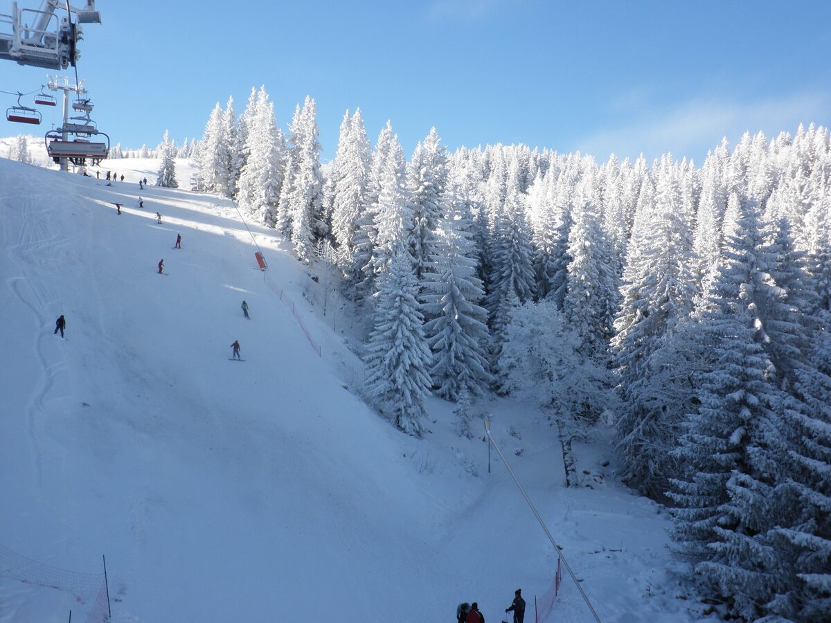 Skiers on a wide snowy piste at Jahorina, with snow-covered spruce trees along the edge