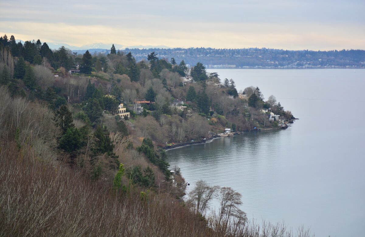 Wooded bluffs above Puget Sound seen from Discovery Park
