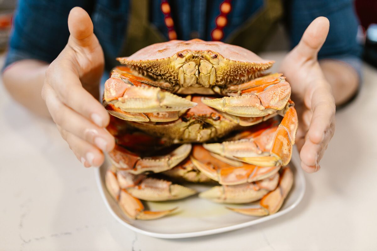 Hands presenting a stack of cooked Dungeness crabs on a plate