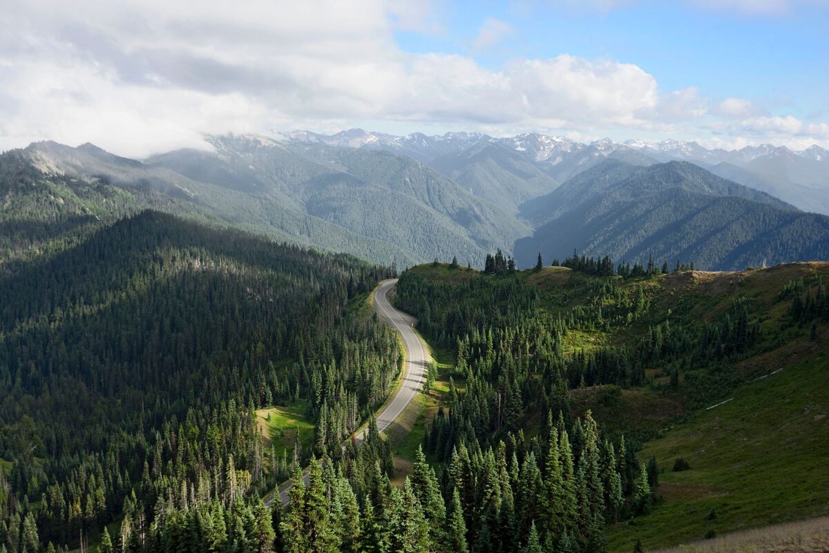 A road winding through forested mountains in Olympic National Park