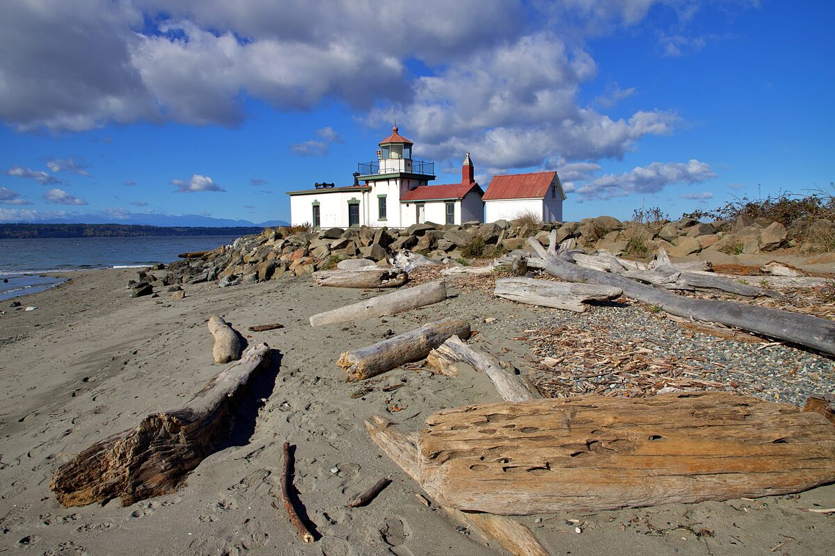 West Point Lighthouse beyond driftwood on the beach