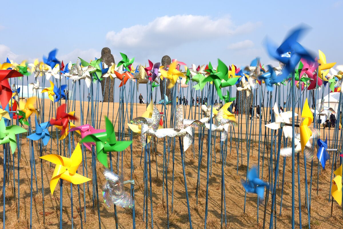 Colourful pinwheels in the field at Imjingak Peace Park, with a blue sky above