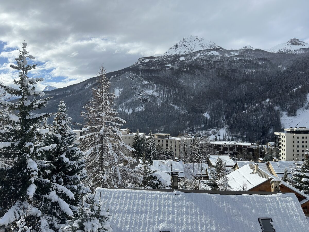 Snow-covered pines and tall apartment blocks in the resort village in winter