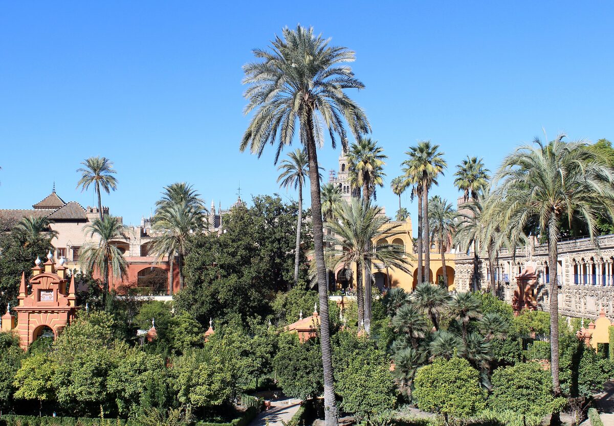Tall palm trees and dense gardens in the Real Alcázar of Seville, with a pink pavilion and the palace walls among the trees