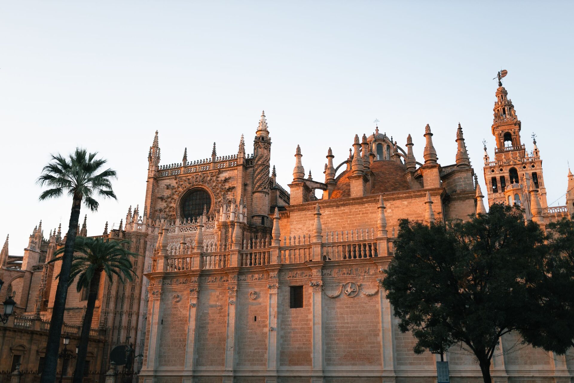 Seville Cathedral glowing orange in the evening light, with palm trees in front and the Giralda tower on the right