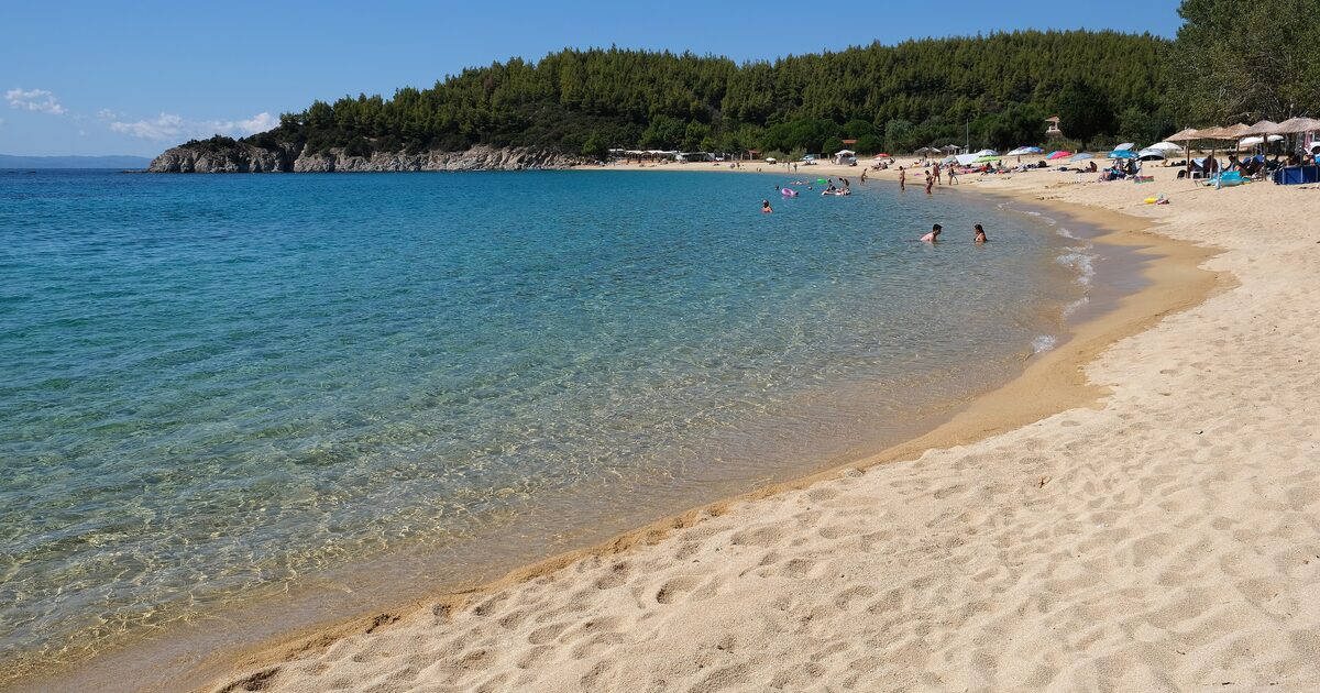 Pale sand, pine trees and turquoise shallows at Destenika beach near Toroni on the Sithonia coast