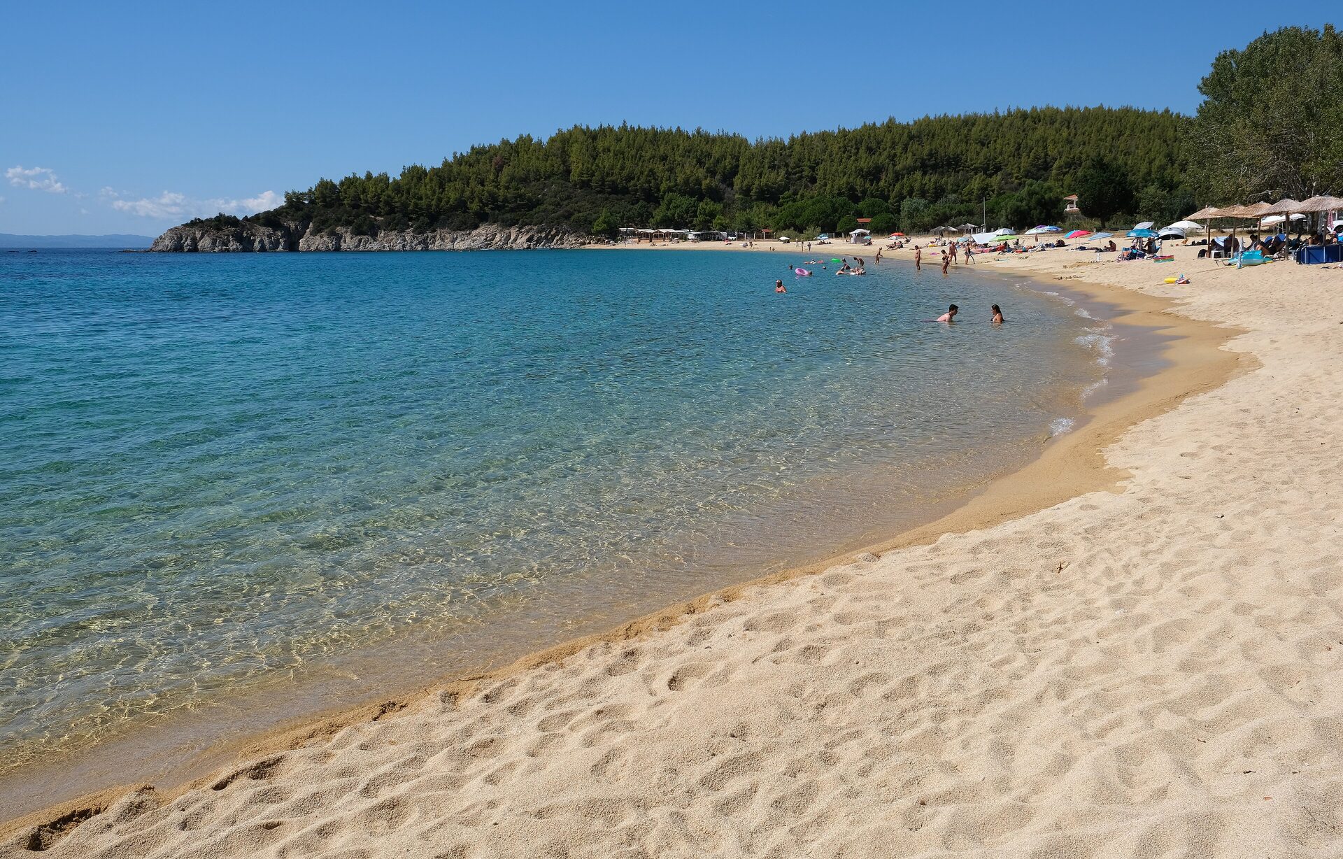 Pale sand, pine trees and turquoise shallows at Destenika beach near Toroni on the Sithonia coast
