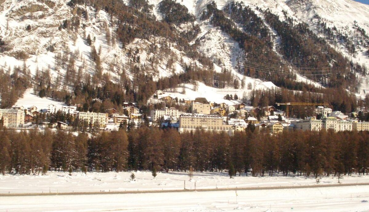 Pontresina's hotels along the valley floor in winter, with a larch forest and snow-dusted slopes behind