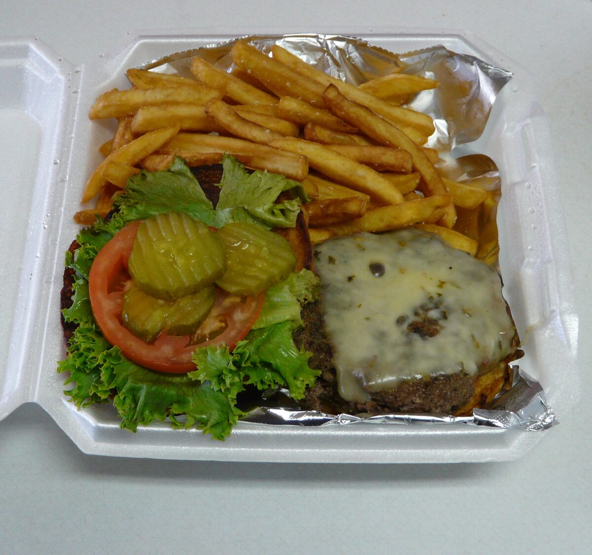 A bison burger with cheese, pickles, tomato and fries in a takeaway tray