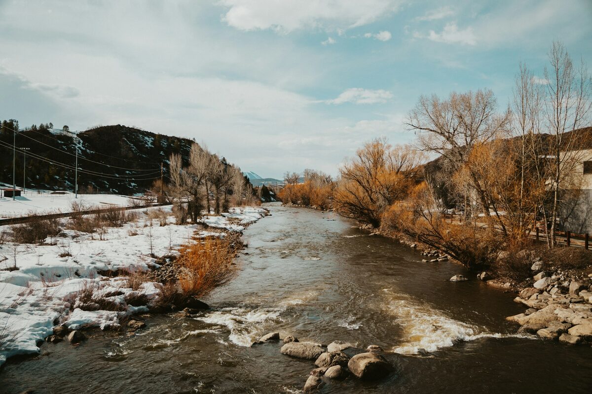 The Yampa River flowing past snowy banks and bare cottonwoods in winter