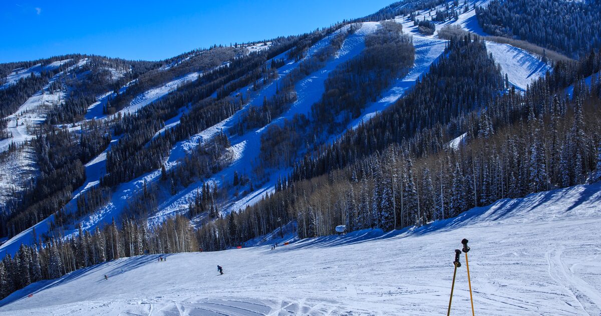 Snowy ski runs cut through forested slopes at Steamboat under blue sky