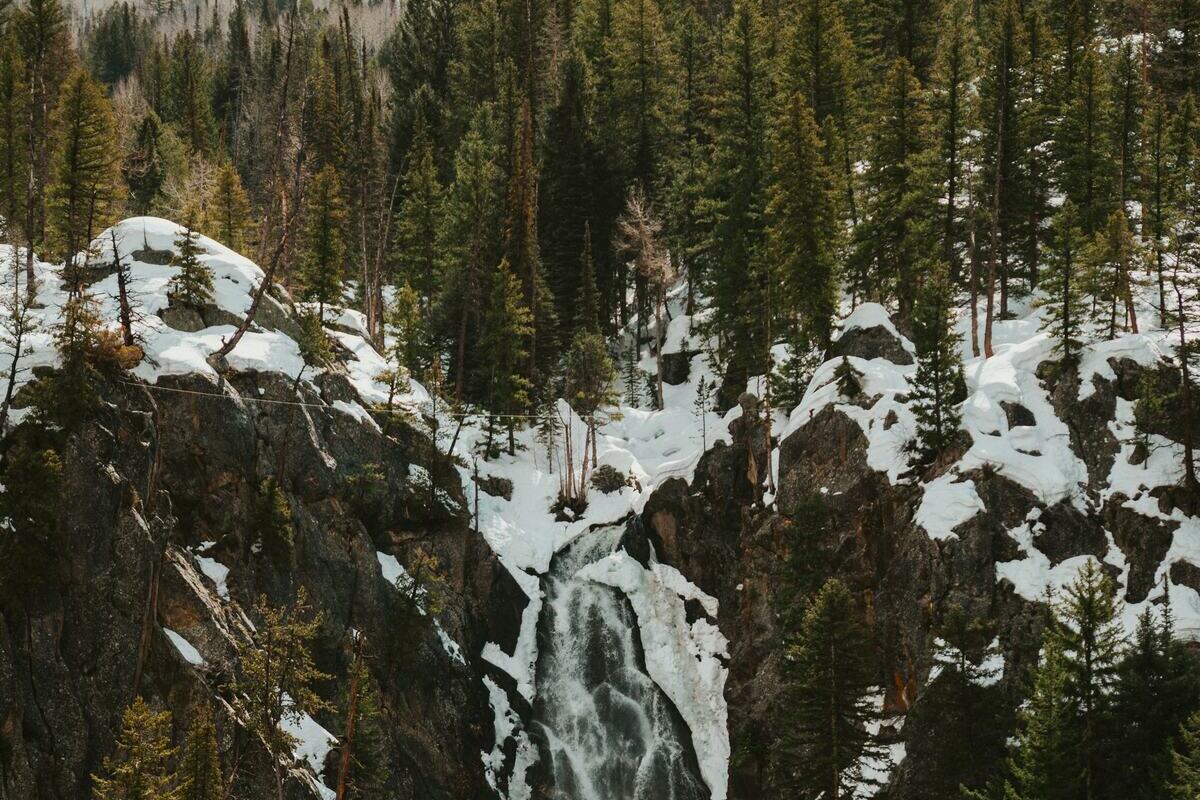 A waterfall tumbles down a snowy rock face among dark spruce trees