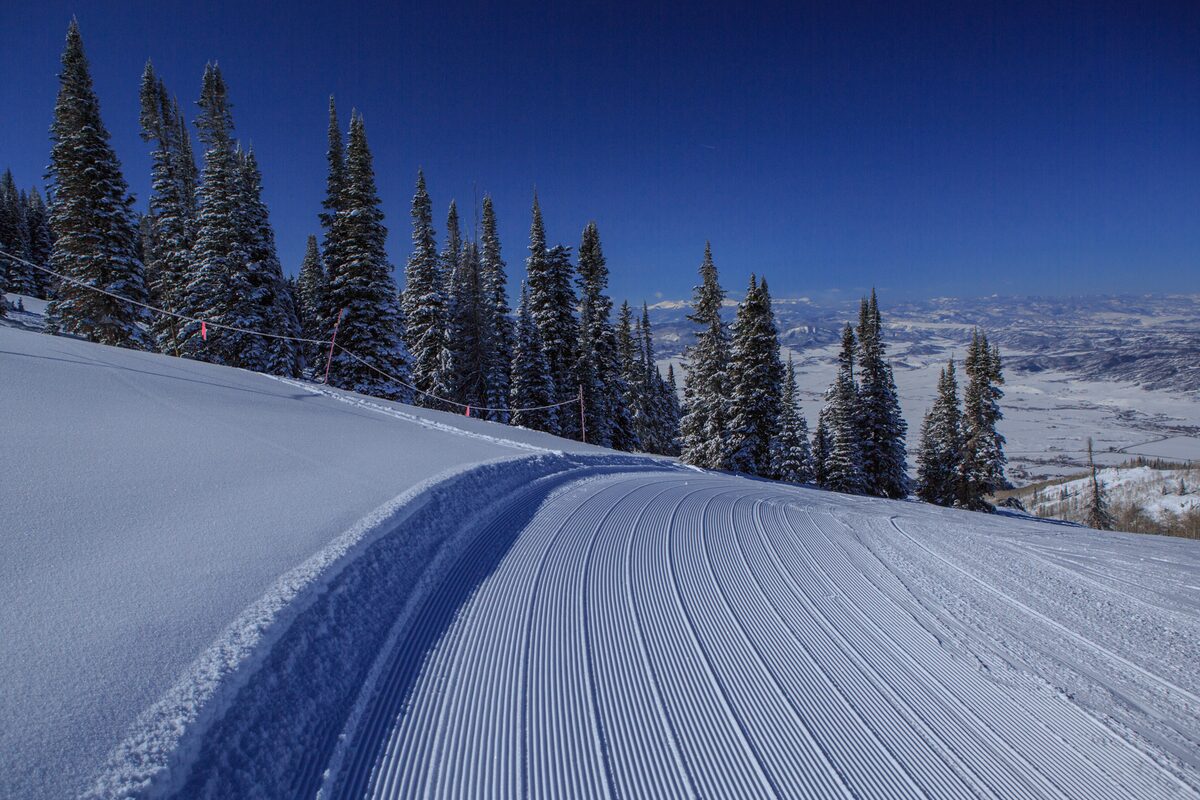 A freshly groomed ski run with corduroy lines and snow-covered spruce
