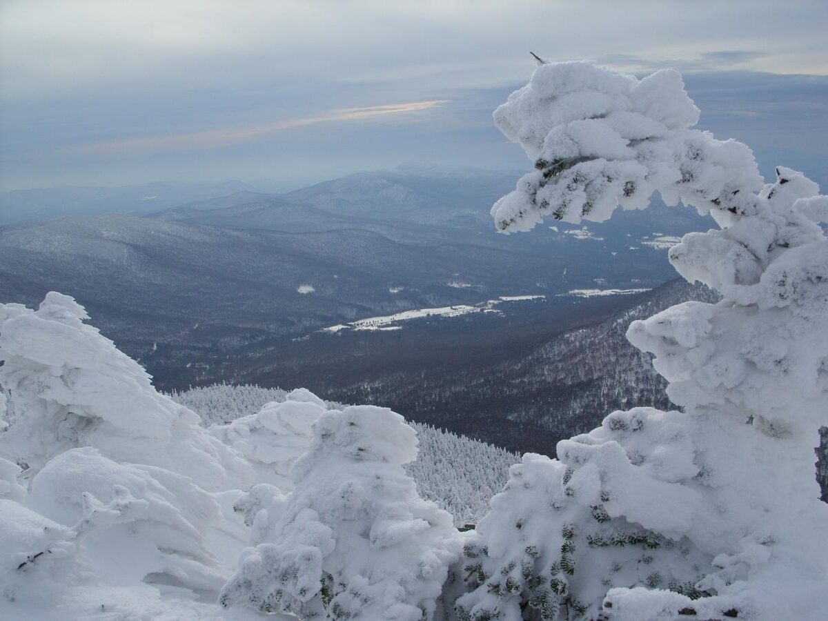 Rime-covered trees above a snowy valley at Jay Peak