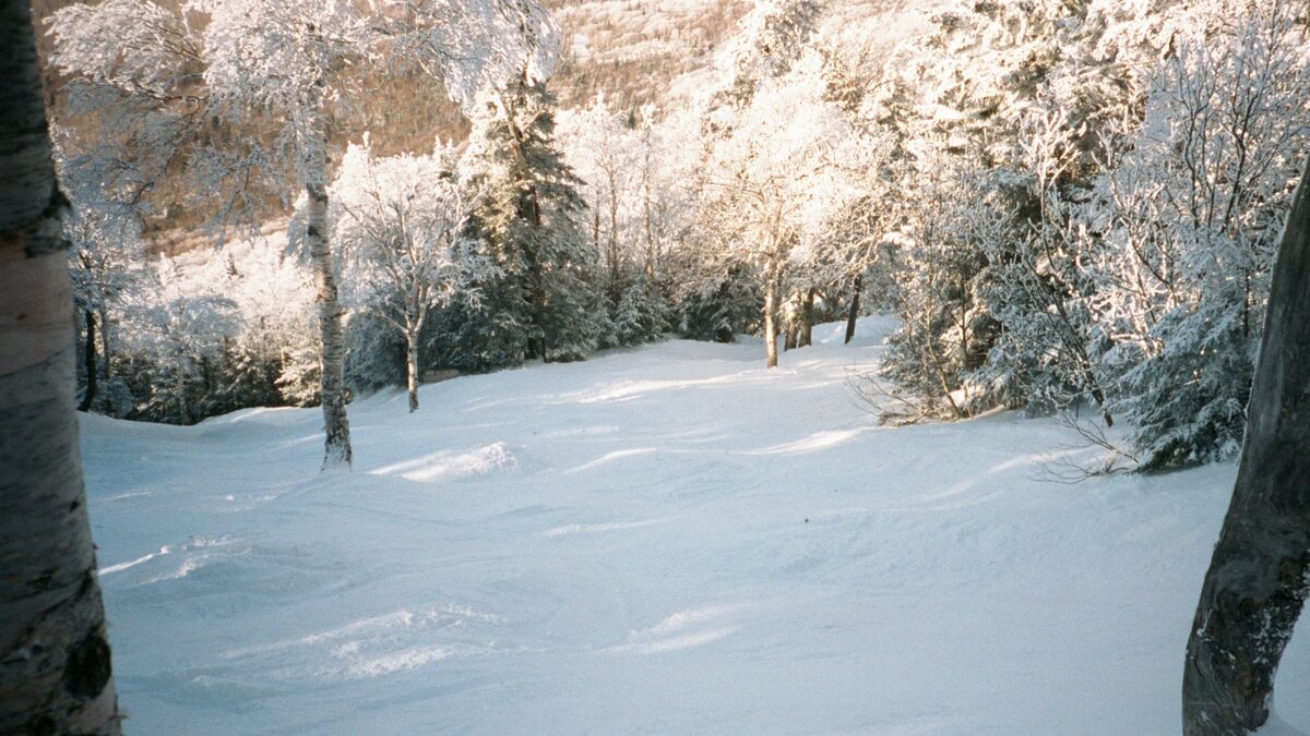 Fresh snow and frosted trees on a glade at Smugglers' Notch