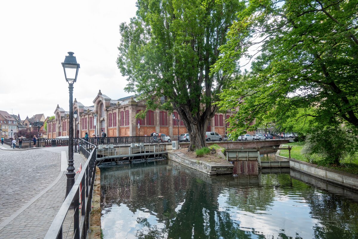 The brick hall of Colmar's covered market beside the Lauch canal, with a tall tree and a lamp post on the near bank