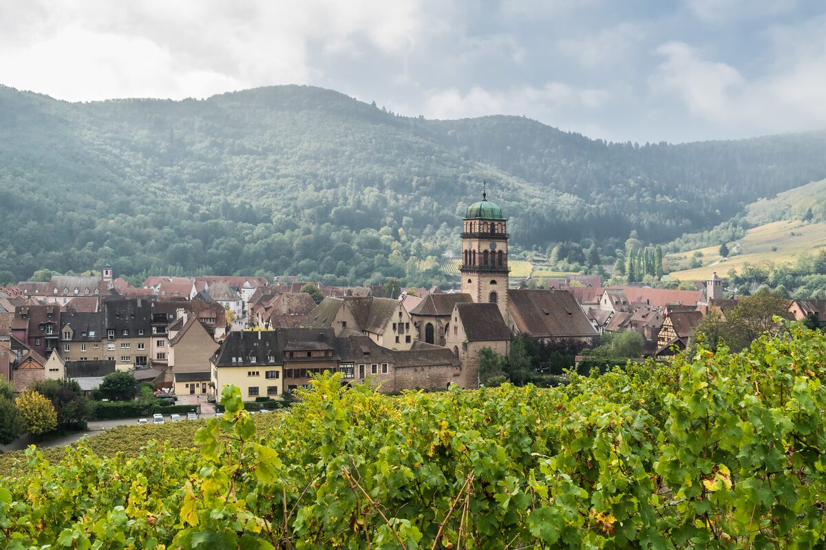 Kaysersberg seen from the vineyards, with its church tower and rooftops below wooded hills