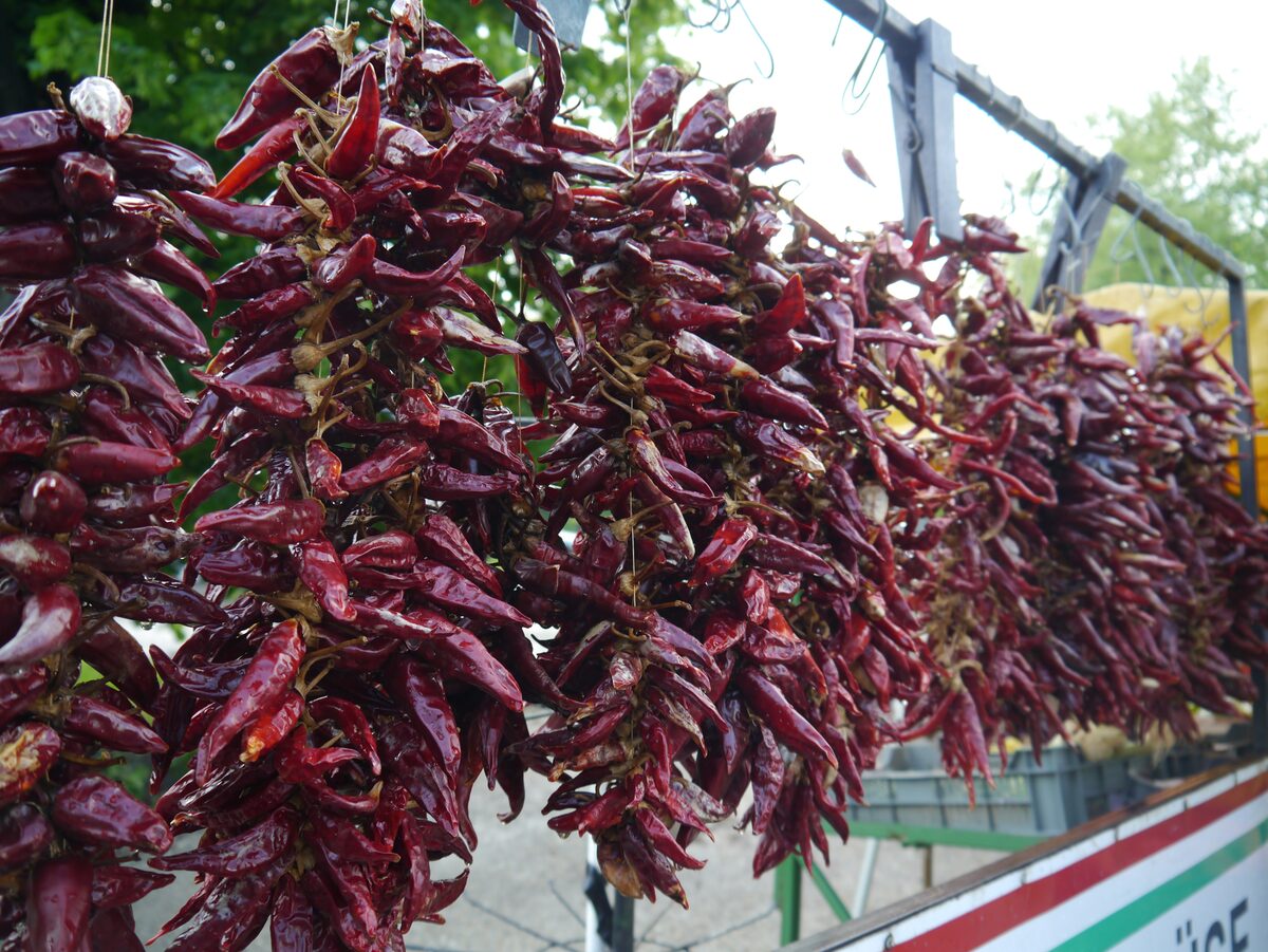 Long strings of dried dark-red Hungarian paprika hanging from a market stall rail