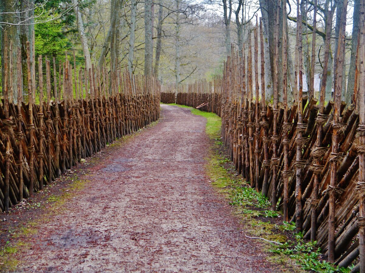 A wooden-fenced path through the Estonian Open Air Museum at Rocca al Mare
