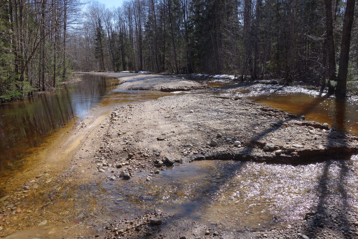 A gravel track flooded by spring water through the forest of Soomaa National Park