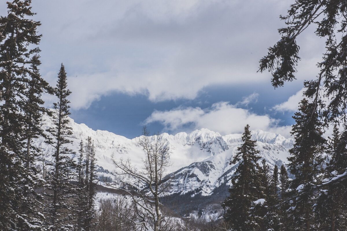Snow-covered San Juan peaks seen through spruce branches near Telluride