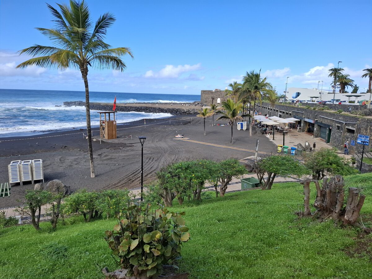 Playa Jardín in Puerto de la Cruz, a black-sand beach with palms under a clear sky