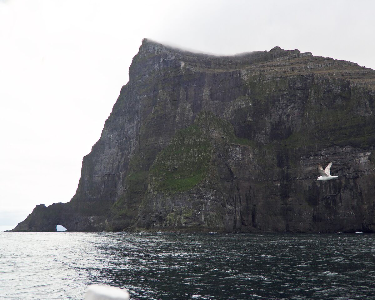 The sheer cliff of Cape Enniberg seen from the sea, with a small sea arch at its foot and a seabird in flight