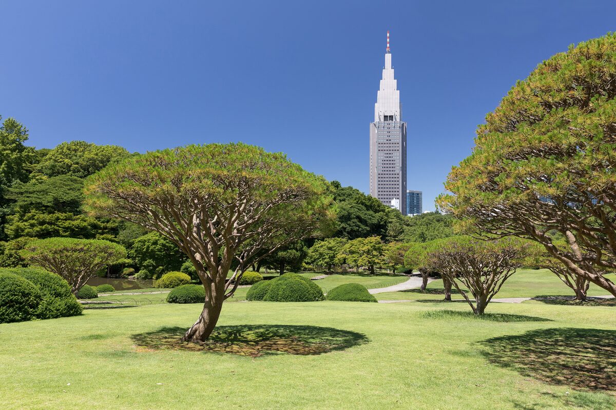 A lawn and clipped trees in Shinjuku Gyoen with a tall office tower rising behind the garden