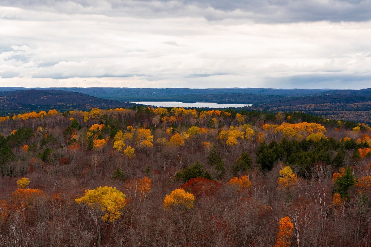 Orange, yellow and red autumn treetops stretching to a distant lake under a cloudy sky, seen from a lookout in Algonquin Park