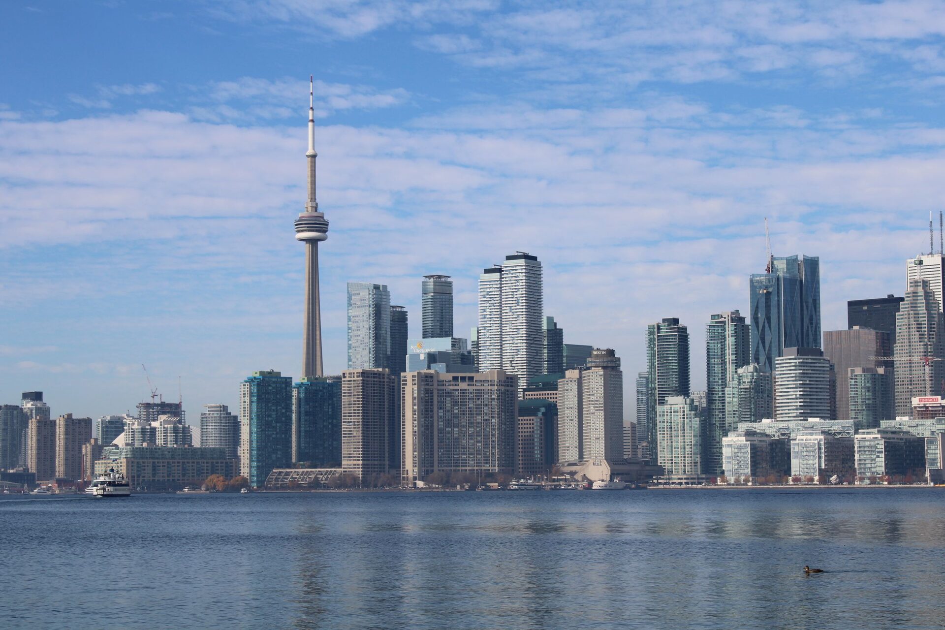 The Toronto skyline with the CN Tower rising above the downtown towers and Lake Ontario in the foreground