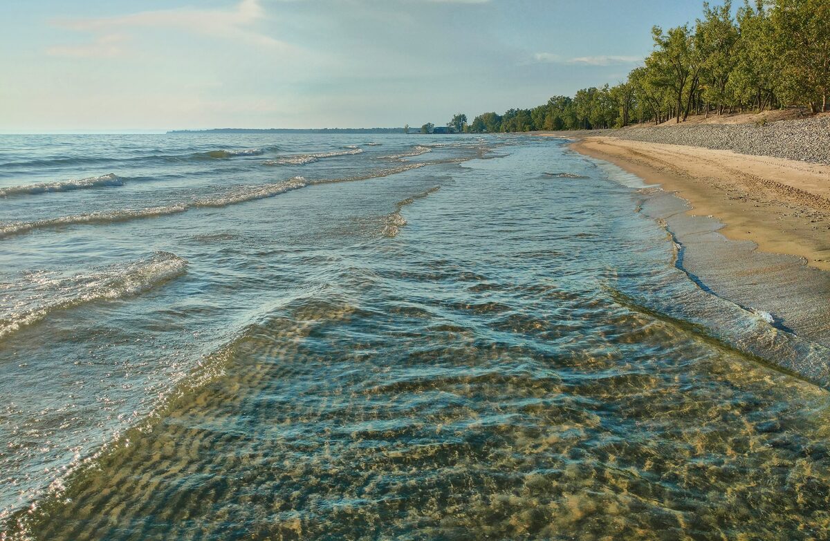 Clear waves washing onto a sandy Lake Ontario beach in Prince Edward County, with trees along the shore