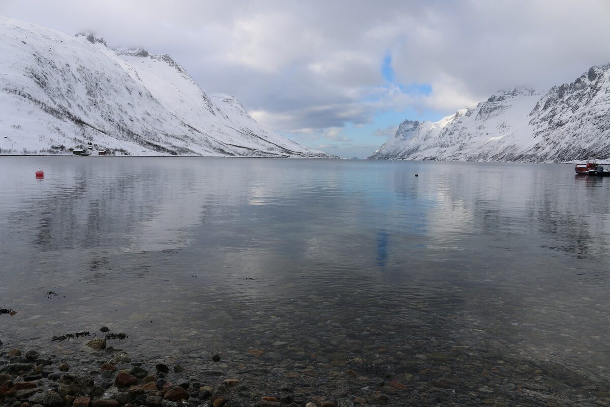 The calm water of Ersfjord reflecting steep snowy mountains on both sides under a pale sky