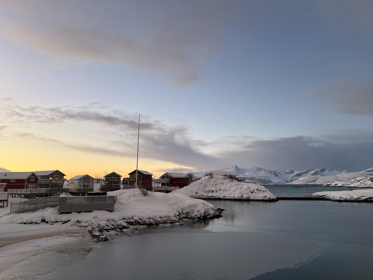 Red fishing cabins on the shore at Sommarøy, with snowy islands and a pink sky in the distance