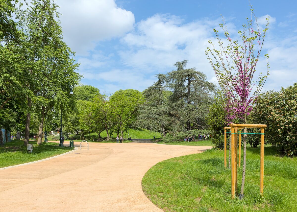 A sandy path and green lawns in the Parco del Valentino