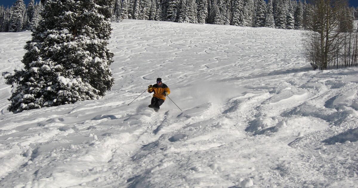 A skier in a yellow jacket carving through fresh powder on Vail Mountain, with snow-covered spruce trees beside the run