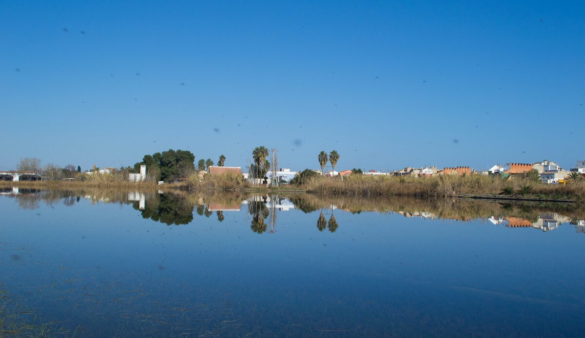 The still water of the Albufera lagoon reflecting reeds, trees and a few white houses under a blue sky