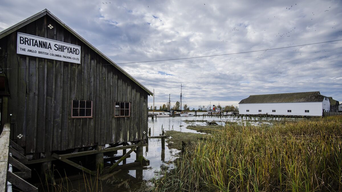 The weathered wooden Britannia Shipyard building on stilts above the tidal marsh in Steveston, with a boat shed beyond
