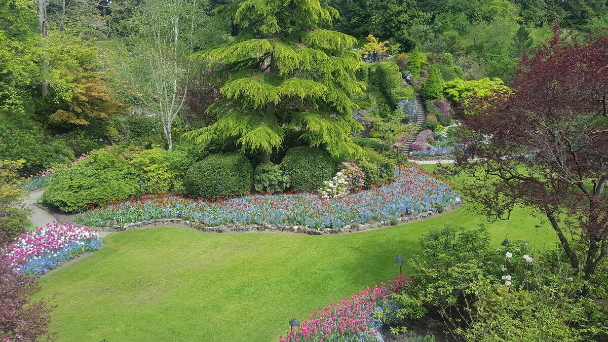 Flower beds and lawns in the Sunken Garden at Butchart Gardens, with conifers on the slopes behind