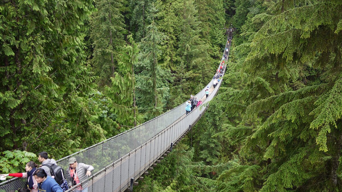 Visitors crossing the long Capilano suspension bridge high above a forested canyon