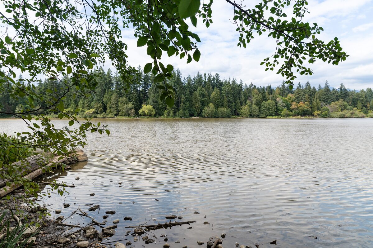 Lost Lagoon in Stanley Park, a calm stretch of water with a fallen log at the edge and forest along the far shore