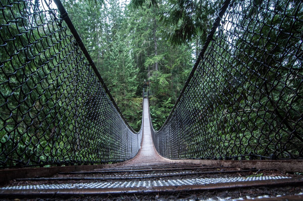 The Lynn Canyon Suspension Bridge seen from its deck, a mesh-sided footbridge stretching away over a forested canyon