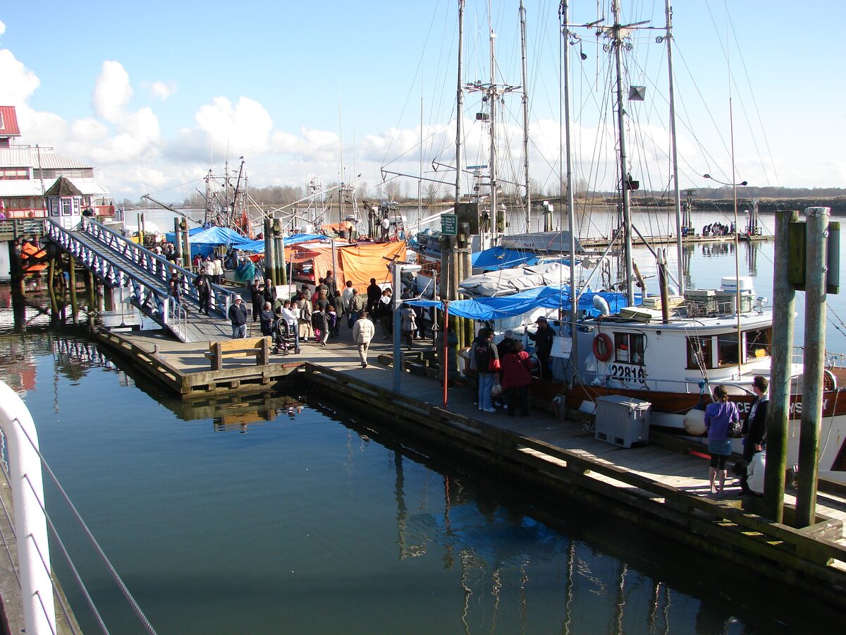 Fishing boats moored at Steveston Fisherman's Wharf with stalls under blue tarps and people on the floating dock