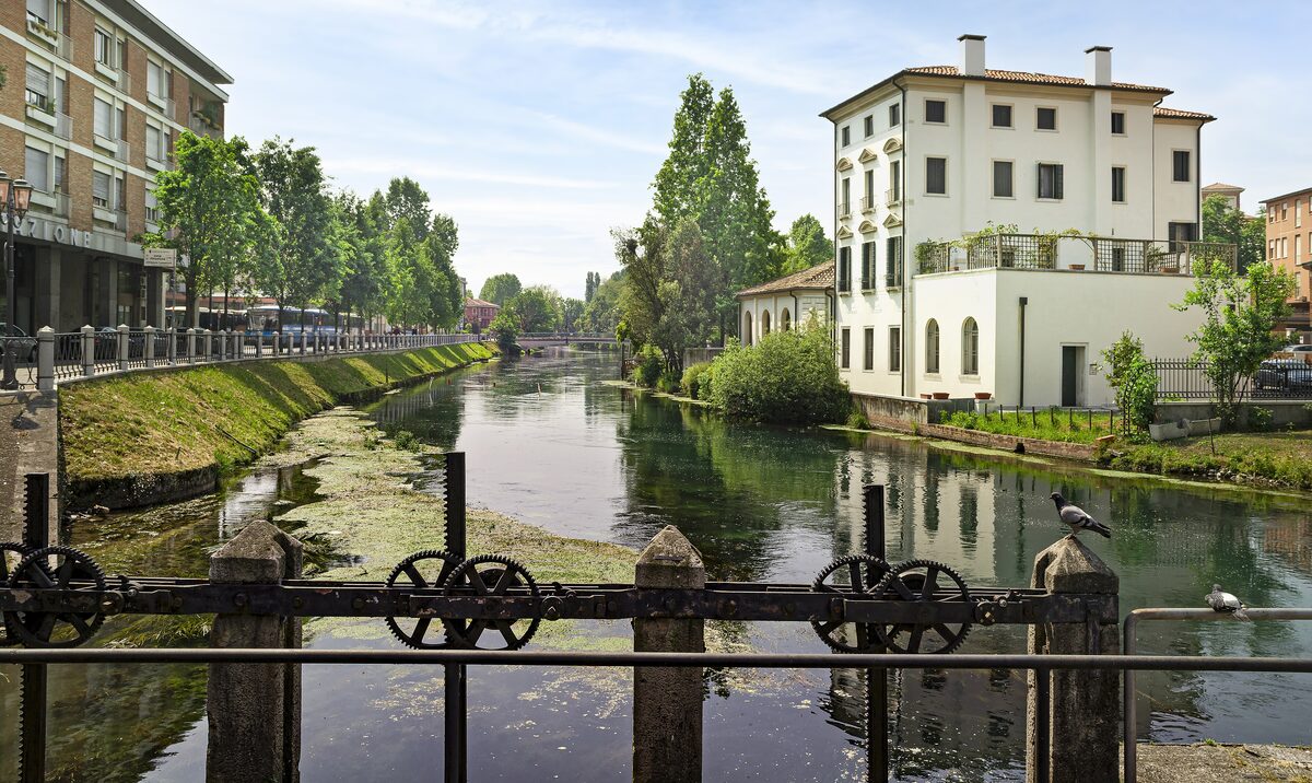 The clear green river Sile flowing through Treviso, with trees and old houses along the banks