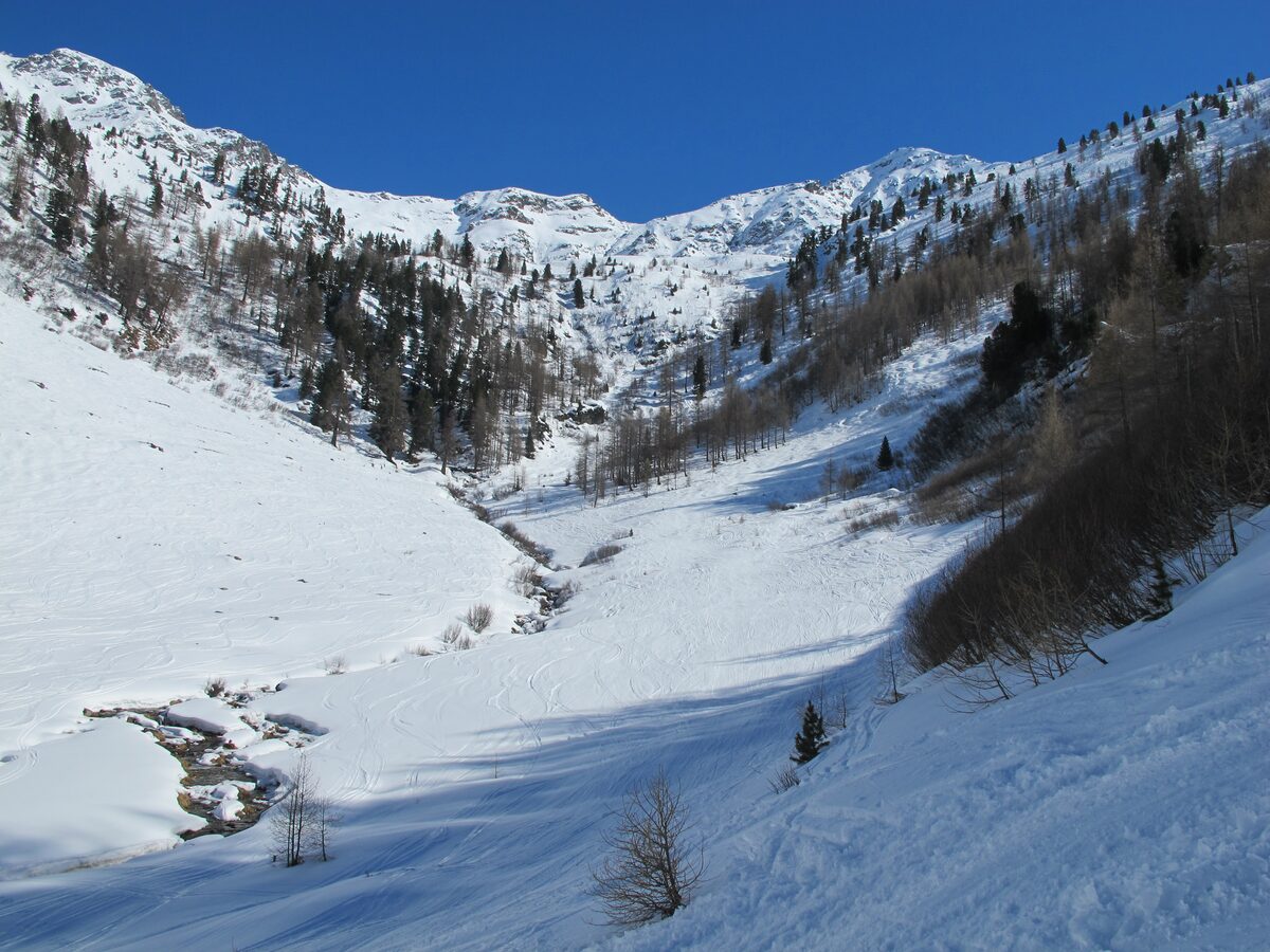 A snowy valley with larch trees and a frozen stream, seen from the slope above