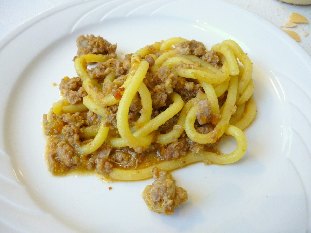 A plate of thick bigoli pasta with a meat ragù