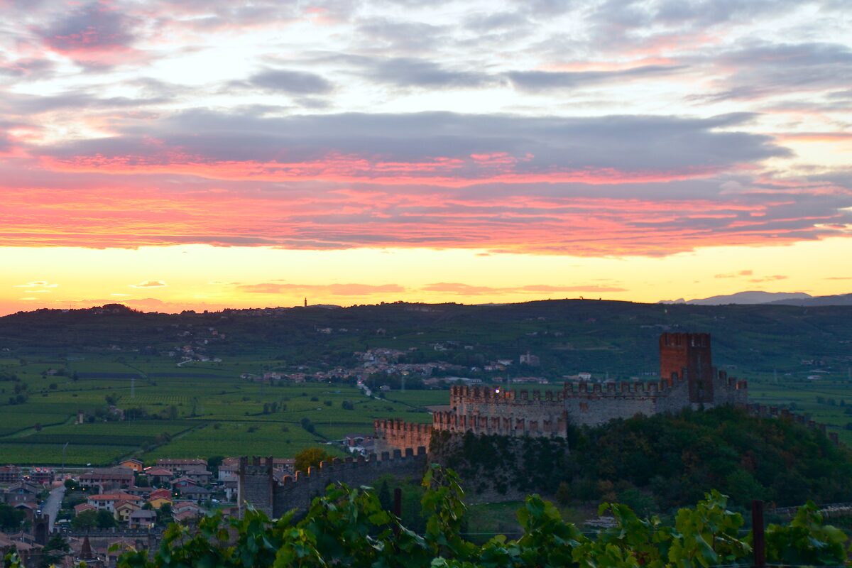 Soave's Scaliger castle on its hill above the vineyards at sunset