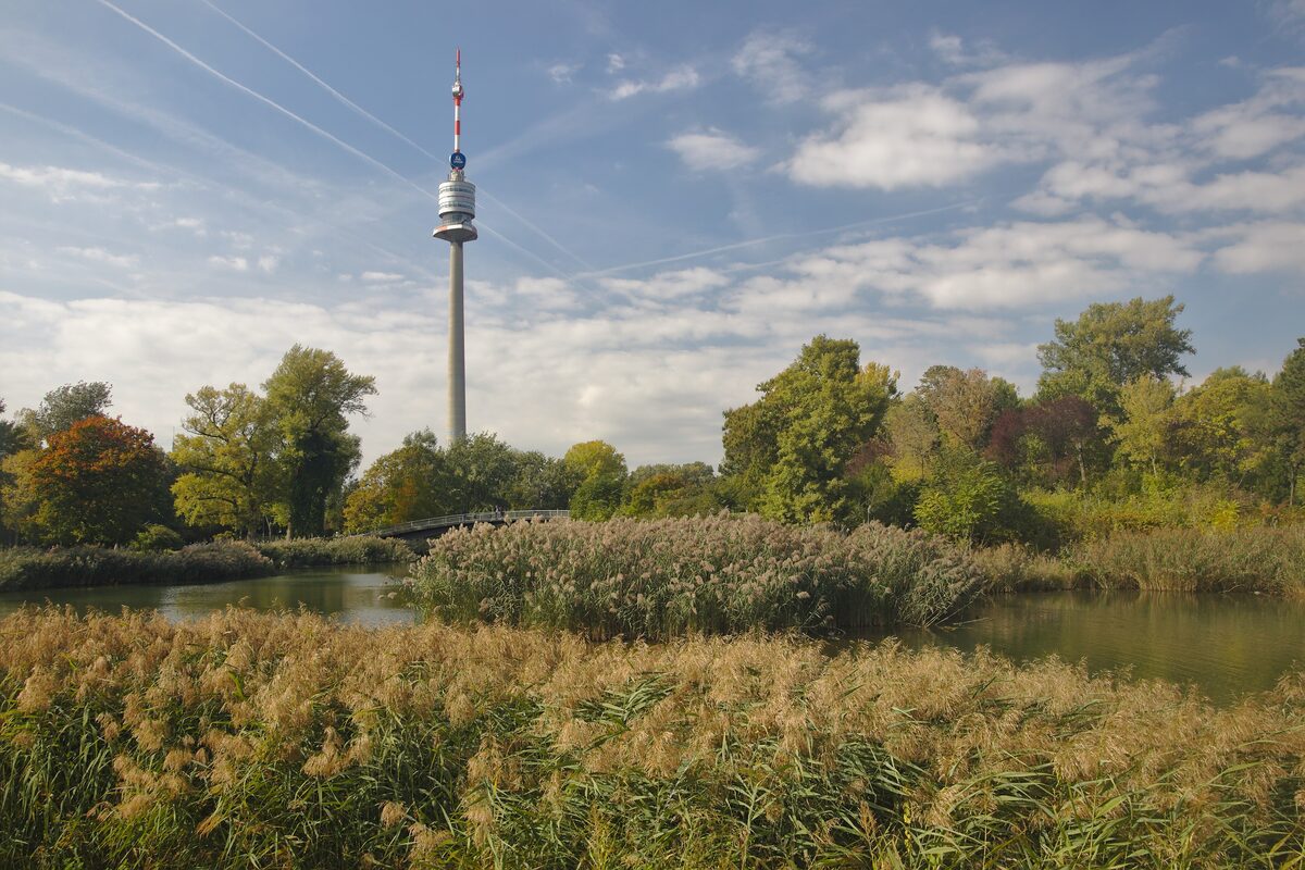 The Danube Tower rising over the reeds and trees of a lake in the Donaupark